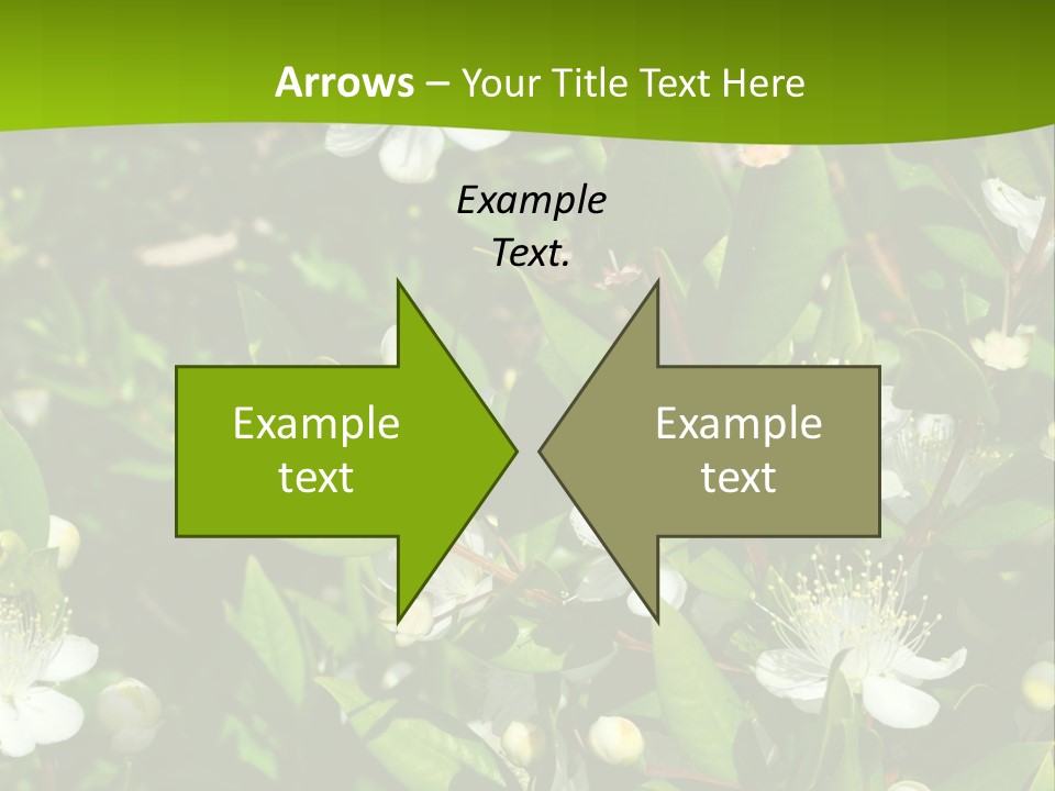 Myrtus Rosids Green PowerPoint Template