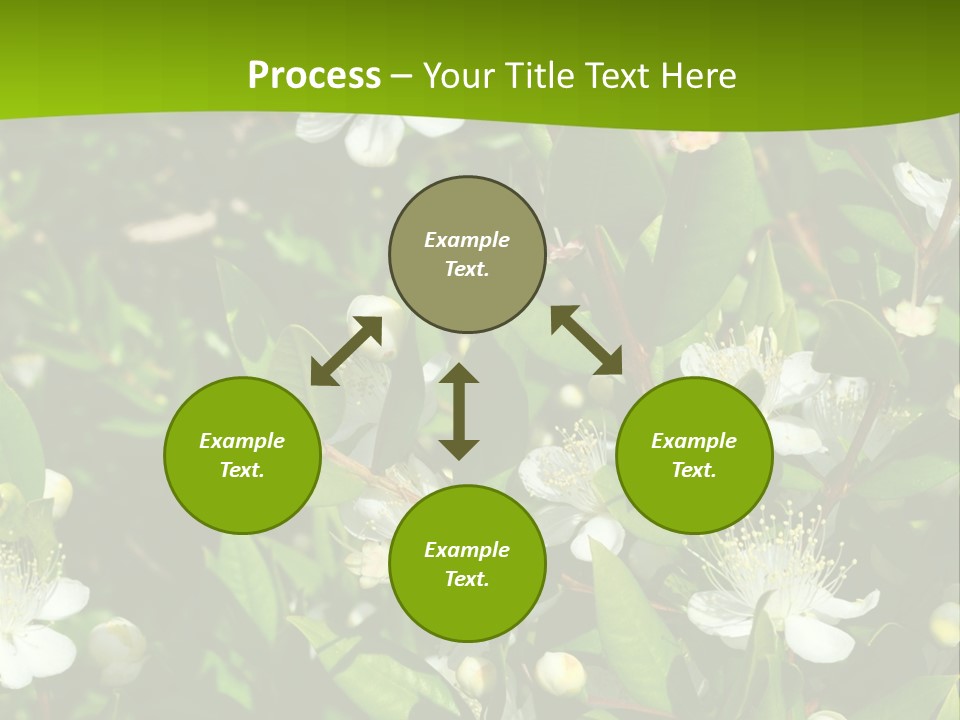 Myrtus Rosids Green PowerPoint Template