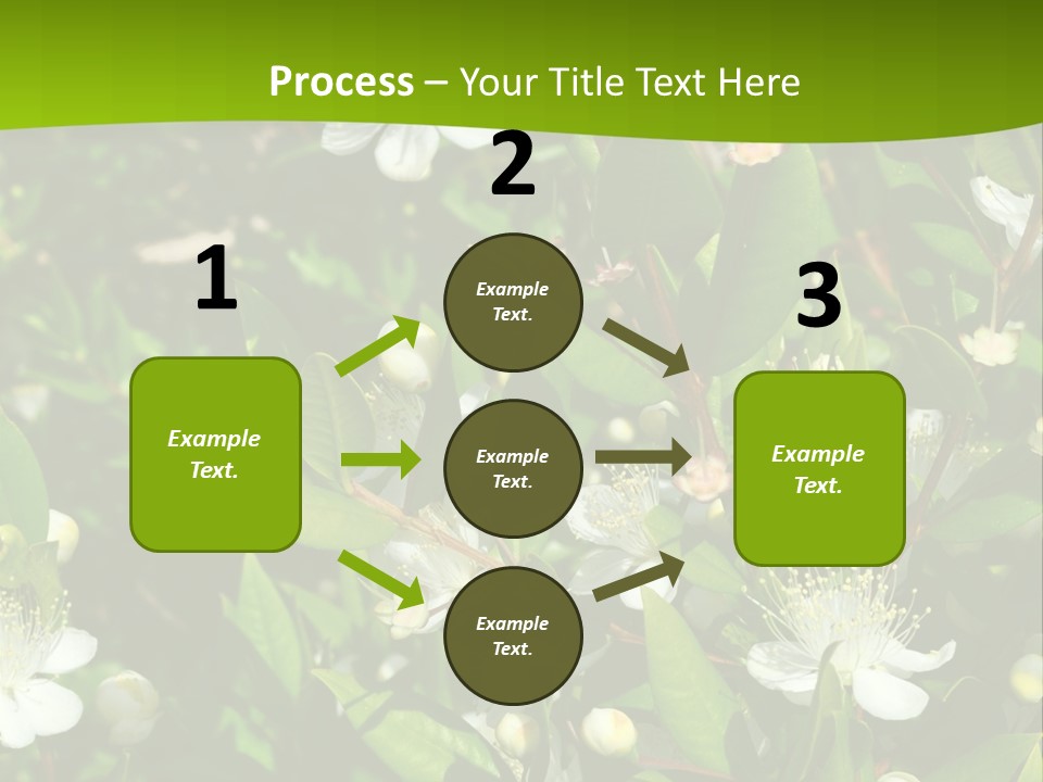 Myrtus Rosids Green PowerPoint Template