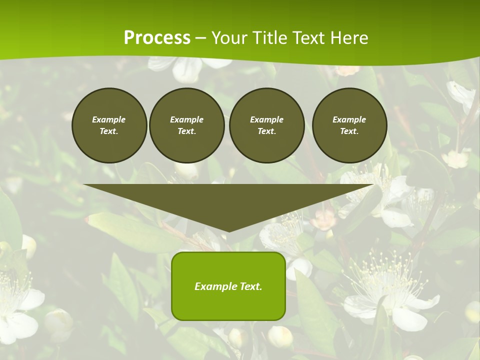Myrtus Rosids Green PowerPoint Template
