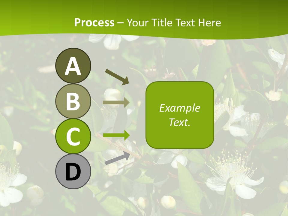 Myrtus Rosids Green PowerPoint Template
