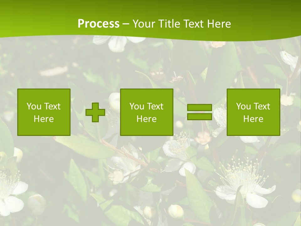Myrtus Rosids Green PowerPoint Template