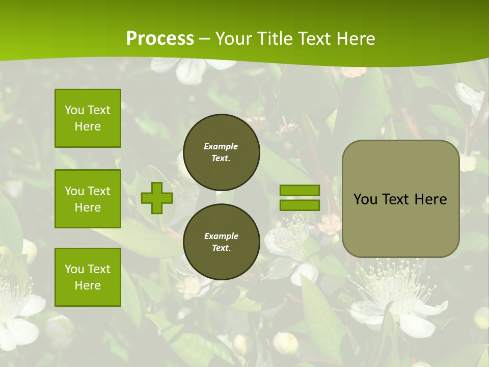 Myrtus Rosids Green PowerPoint Template