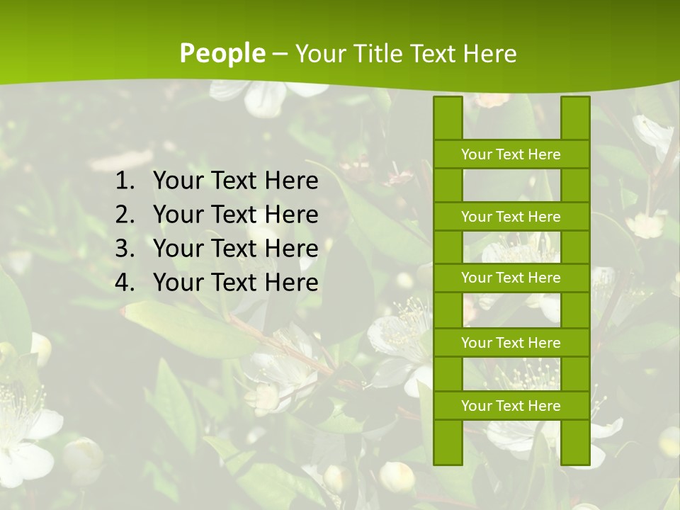 Myrtus Rosids Green PowerPoint Template