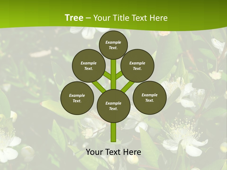 Myrtus Rosids Green PowerPoint Template