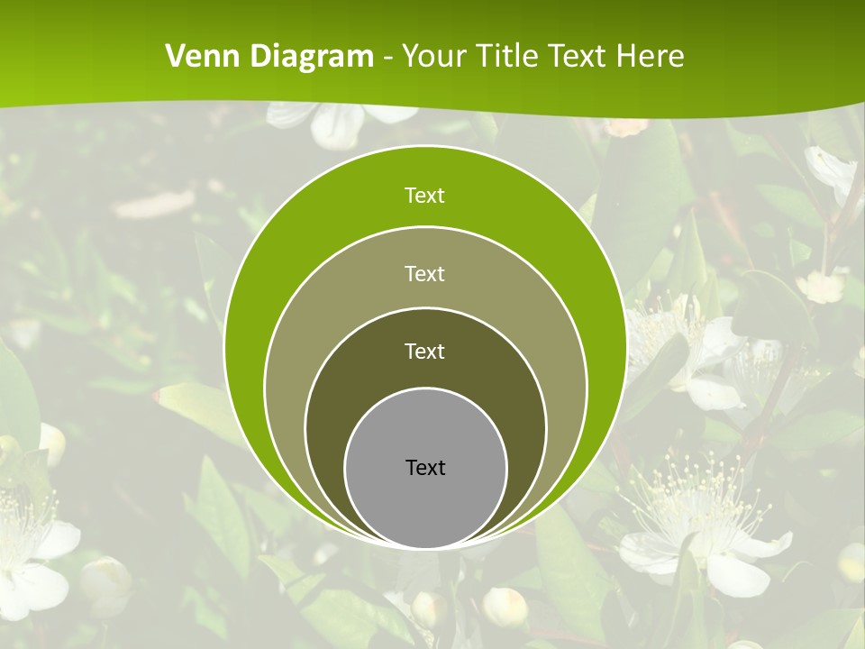 Myrtus Rosids Green PowerPoint Template