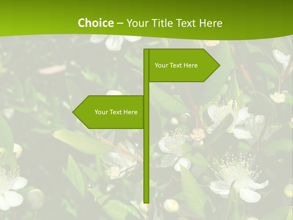 Myrtus Rosids Green PowerPoint Template