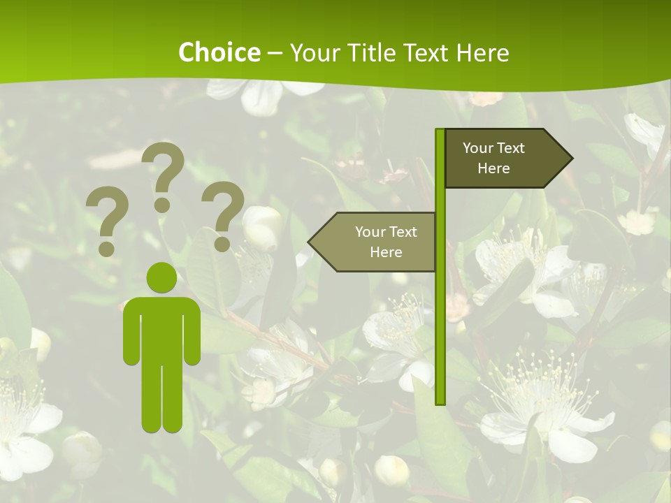 Myrtus Rosids Green PowerPoint Template