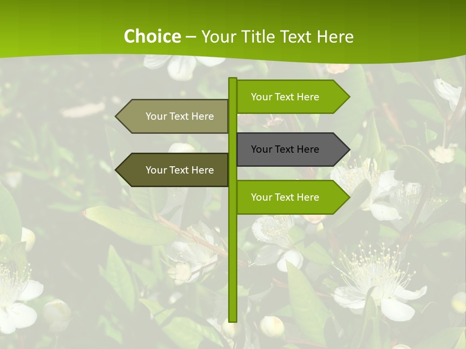 Myrtus Rosids Green PowerPoint Template