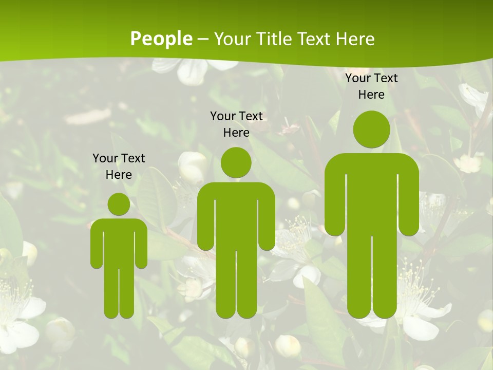 Myrtus Rosids Green PowerPoint Template