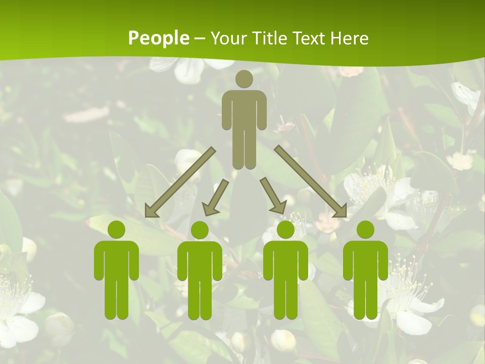 Myrtus Rosids Green PowerPoint Template