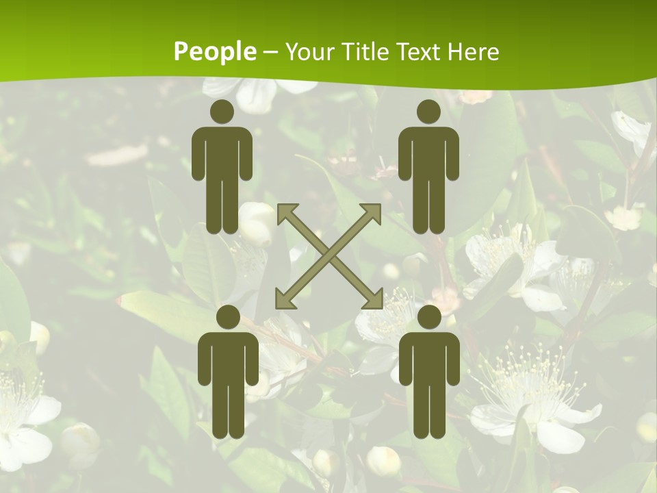 Myrtus Rosids Green PowerPoint Template