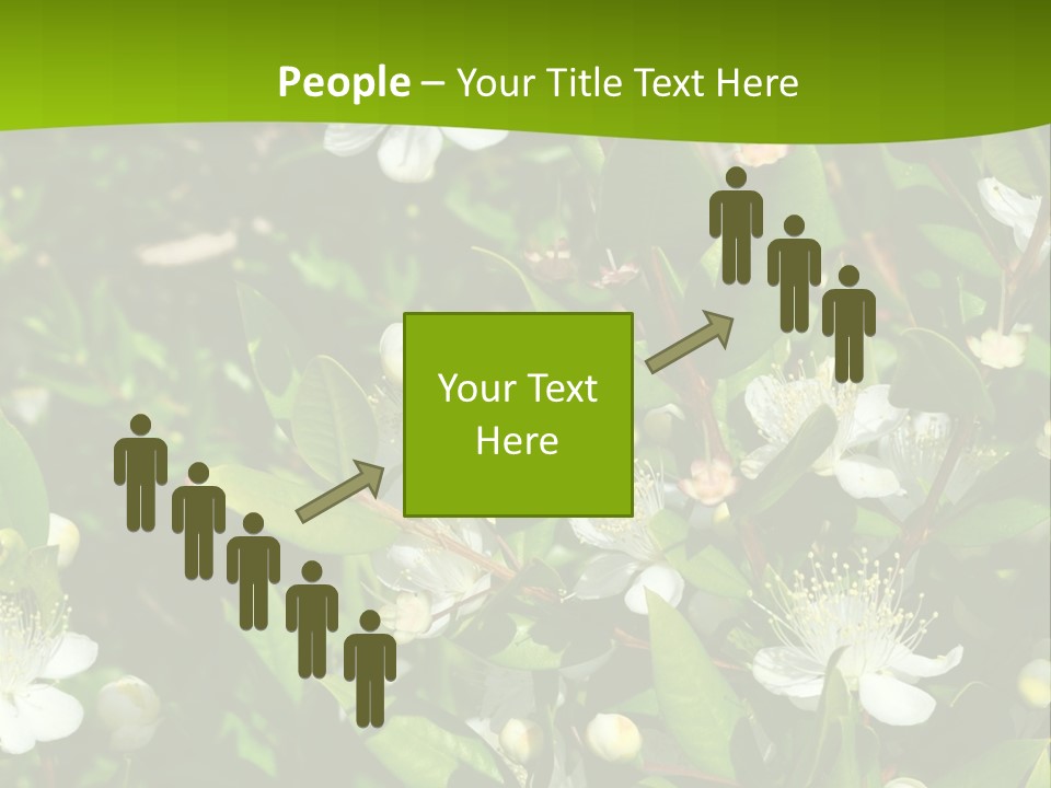 Myrtus Rosids Green PowerPoint Template
