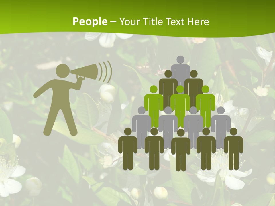 Myrtus Rosids Green PowerPoint Template