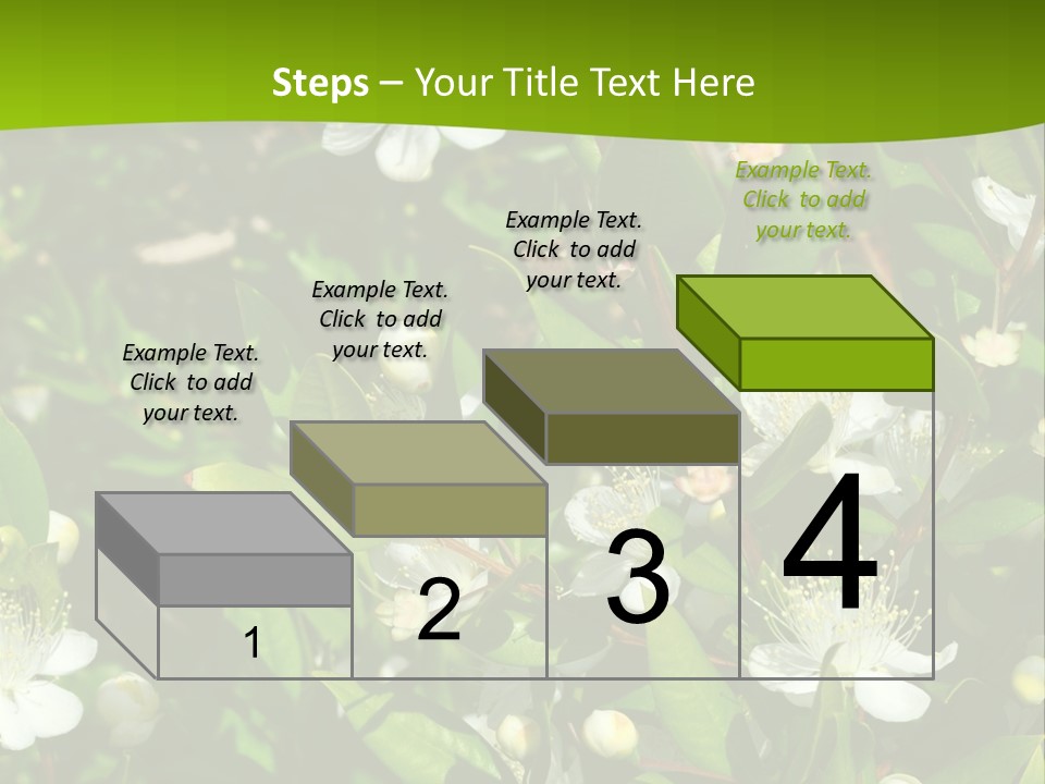 Myrtus Rosids Green PowerPoint Template
