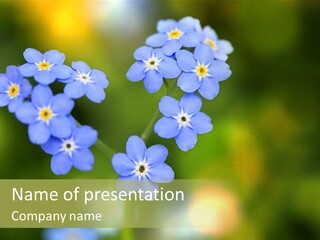 Beauty Spring Green PowerPoint Template