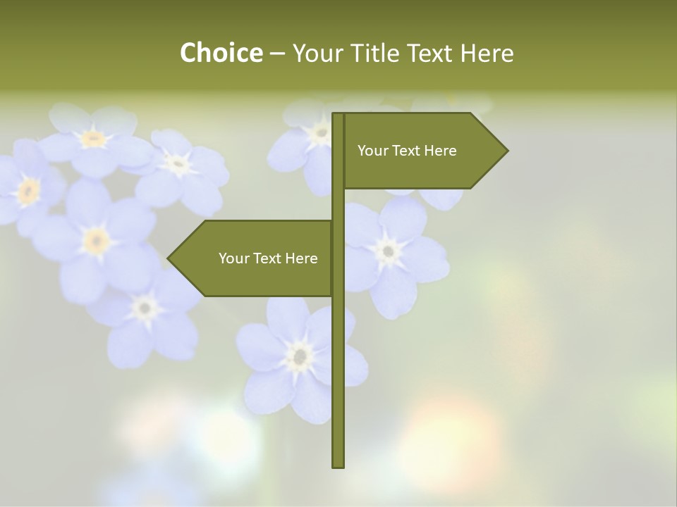 Beauty Spring Green PowerPoint Template