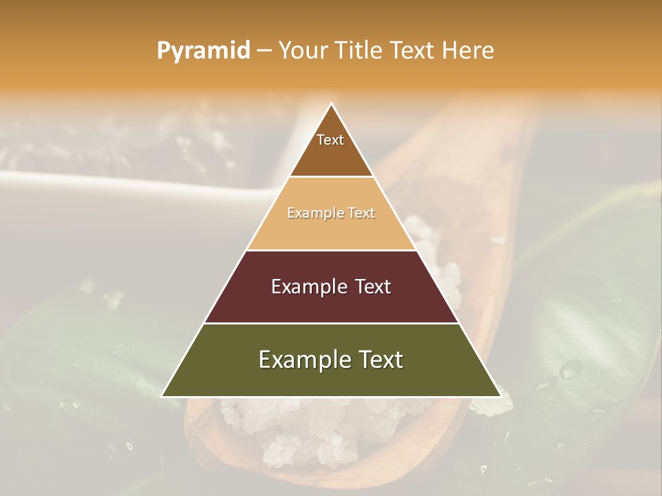 Treatment Setting Wellness PowerPoint Template
