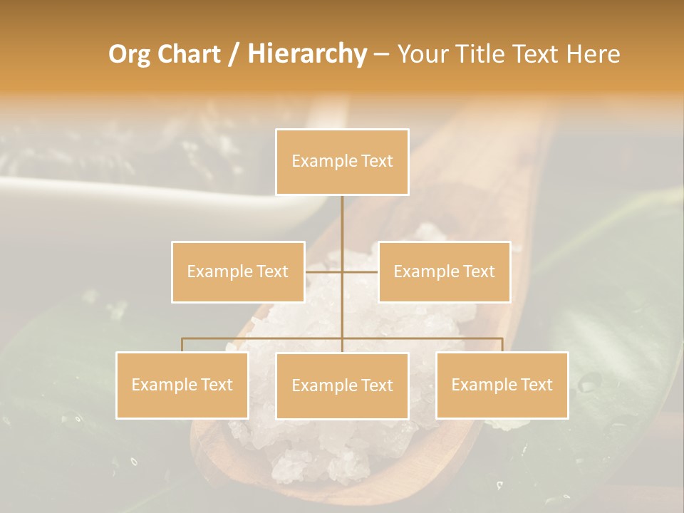 Treatment Setting Wellness PowerPoint Template