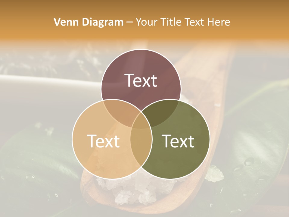 Treatment Setting Wellness PowerPoint Template