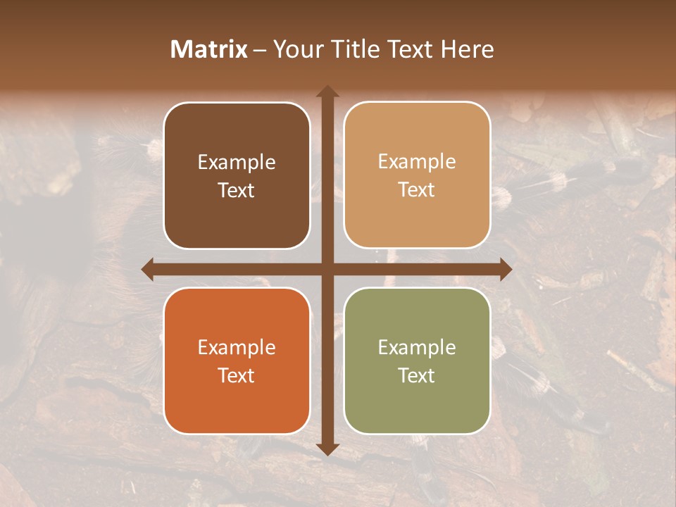 Pets Horror Closeup PowerPoint Template