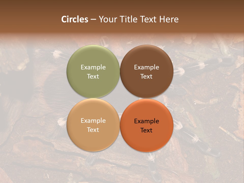 Pets Horror Closeup PowerPoint Template