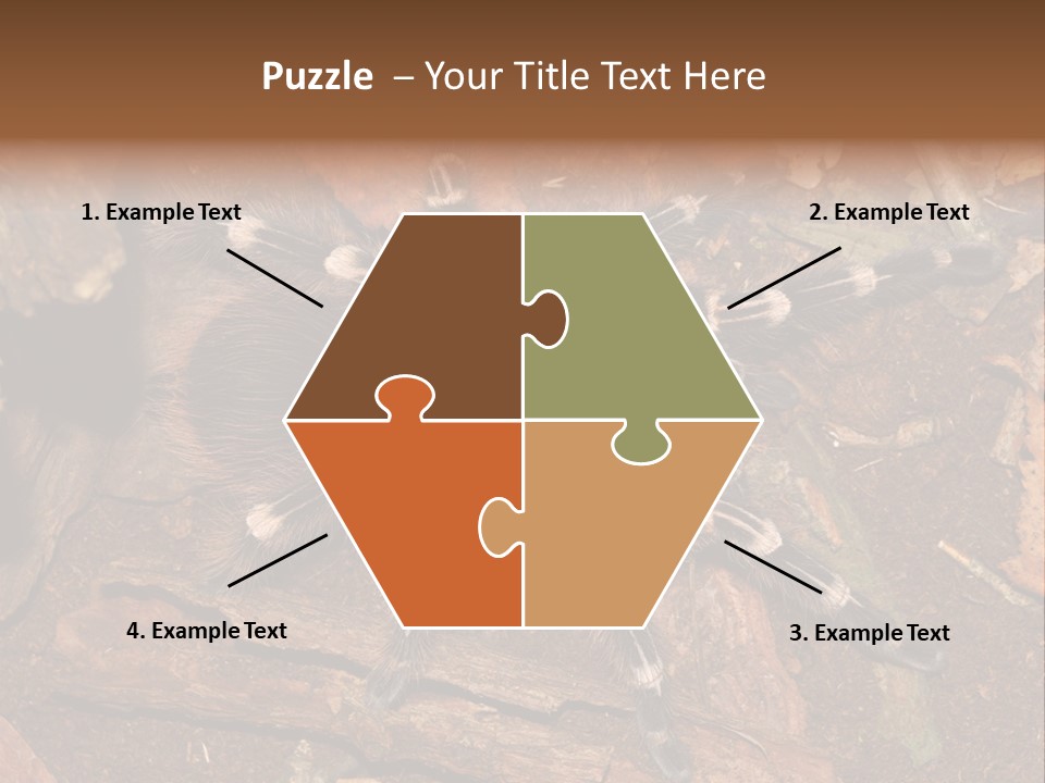 Pets Horror Closeup PowerPoint Template