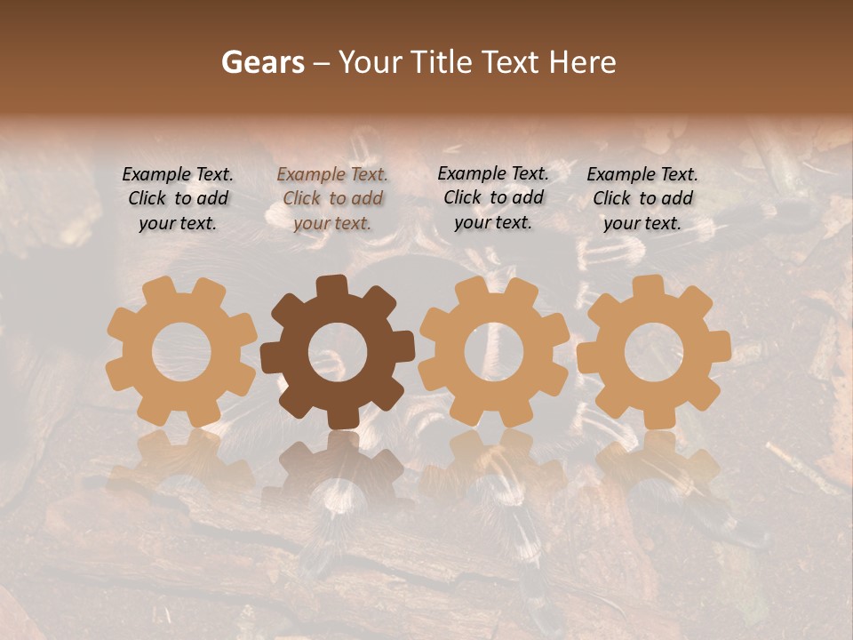 Pets Horror Closeup PowerPoint Template