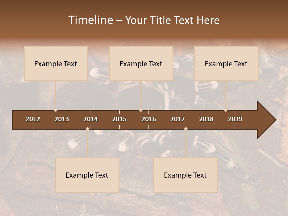 Pets Horror Closeup PowerPoint Template