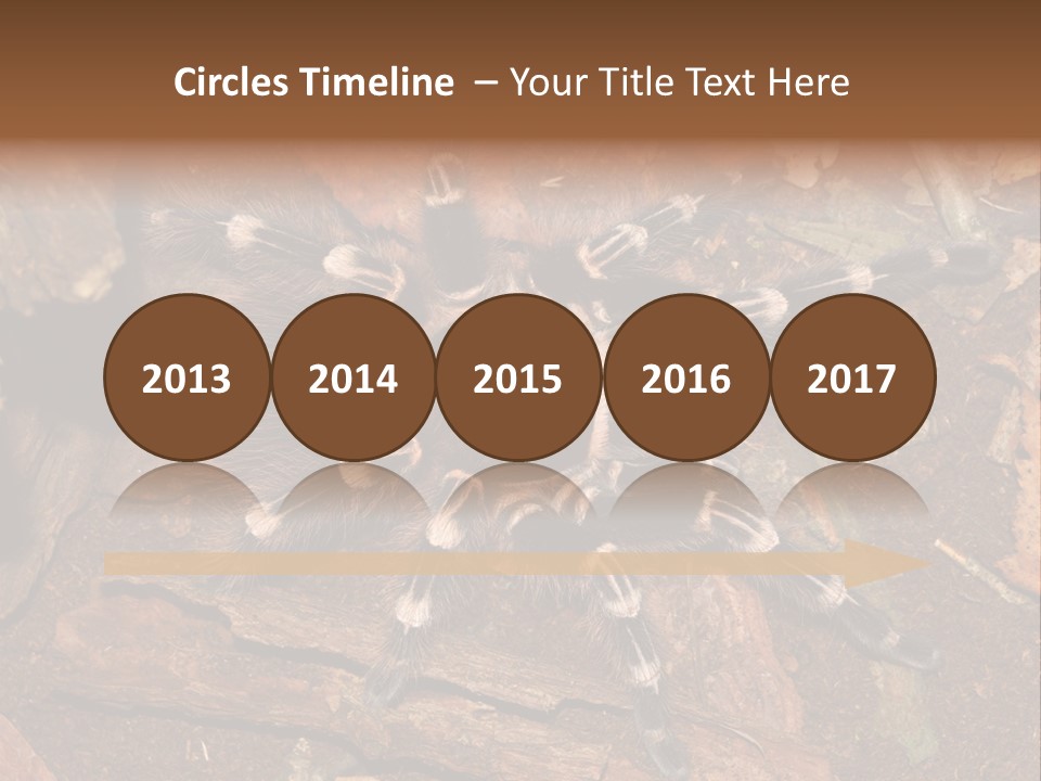 Pets Horror Closeup PowerPoint Template