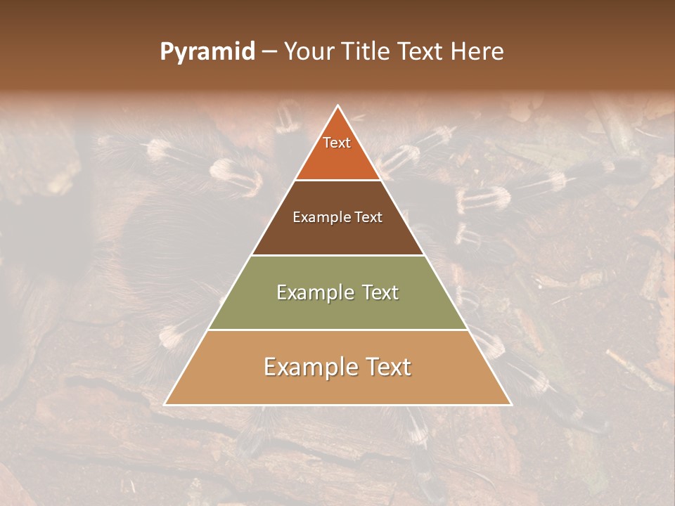 Pets Horror Closeup PowerPoint Template