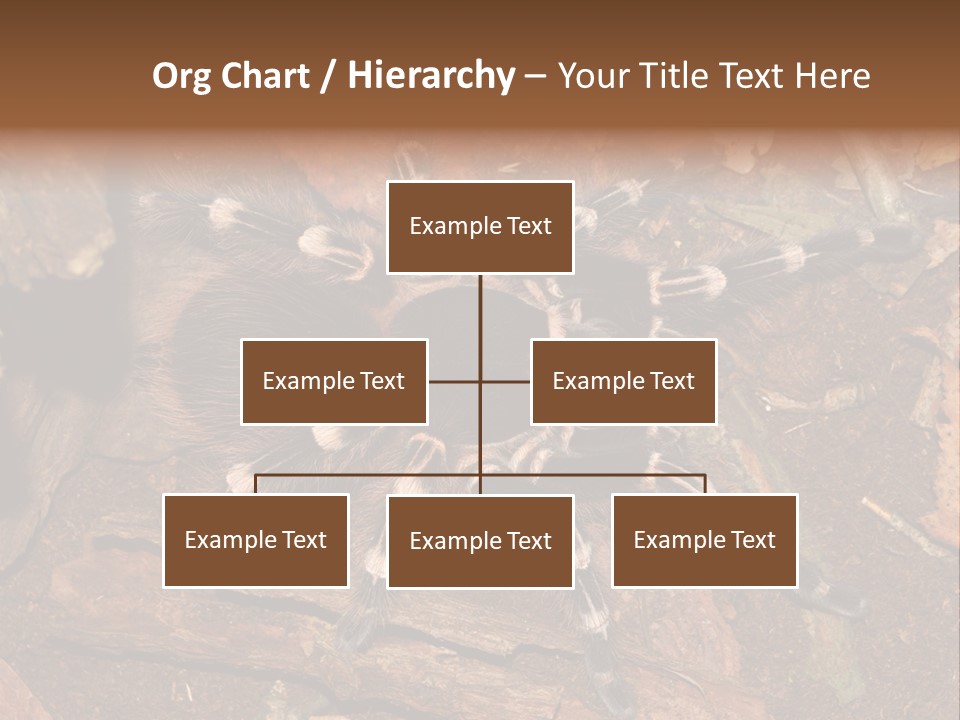 Pets Horror Closeup PowerPoint Template