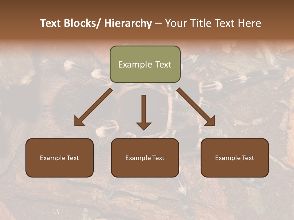 Pets Horror Closeup PowerPoint Template