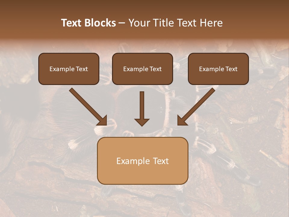 Pets Horror Closeup PowerPoint Template