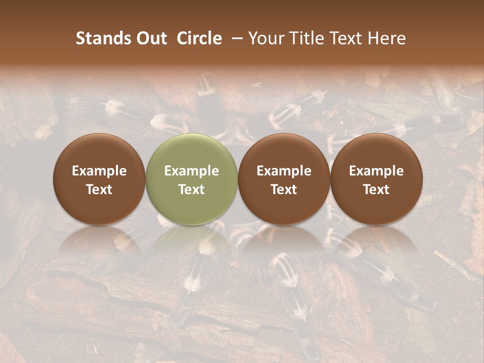 Pets Horror Closeup PowerPoint Template