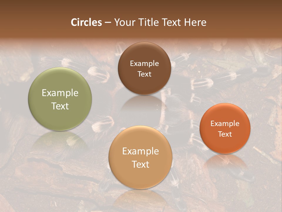 Pets Horror Closeup PowerPoint Template