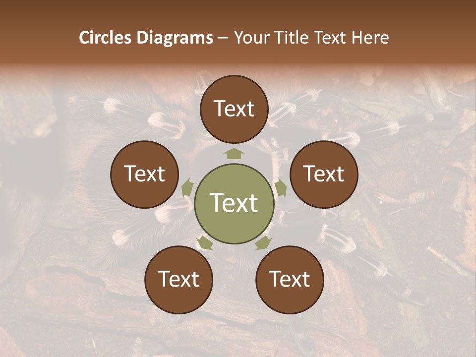 Pets Horror Closeup PowerPoint Template