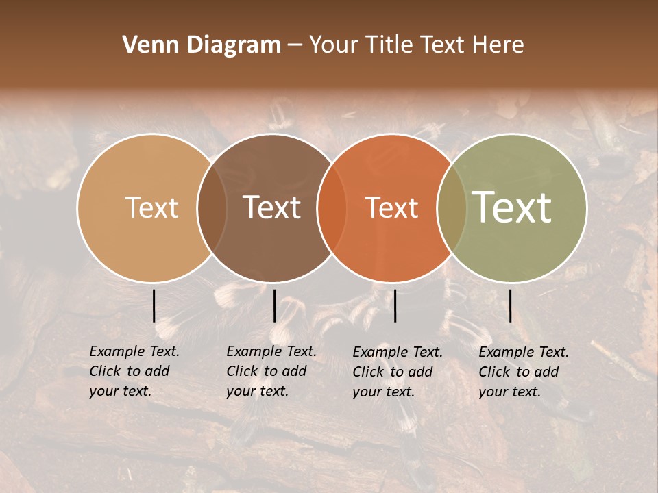 Pets Horror Closeup PowerPoint Template