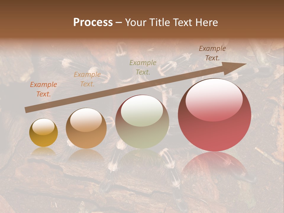 Pets Horror Closeup PowerPoint Template