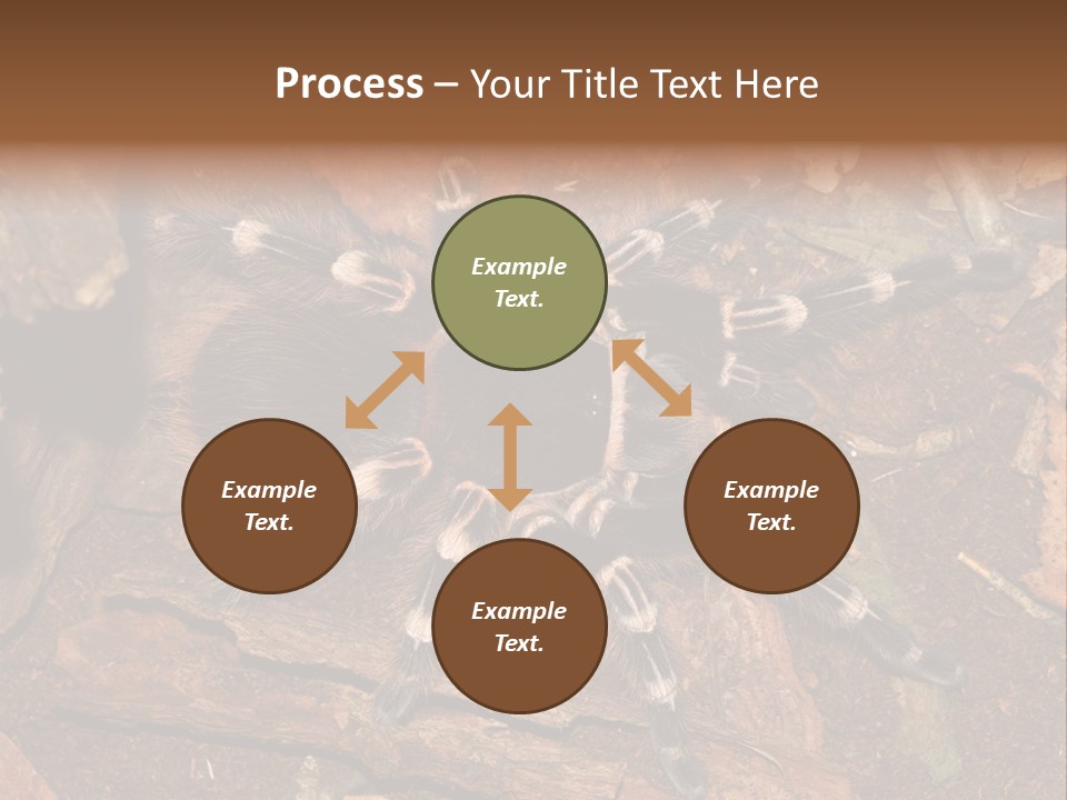 Pets Horror Closeup PowerPoint Template