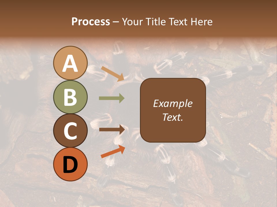 Pets Horror Closeup PowerPoint Template