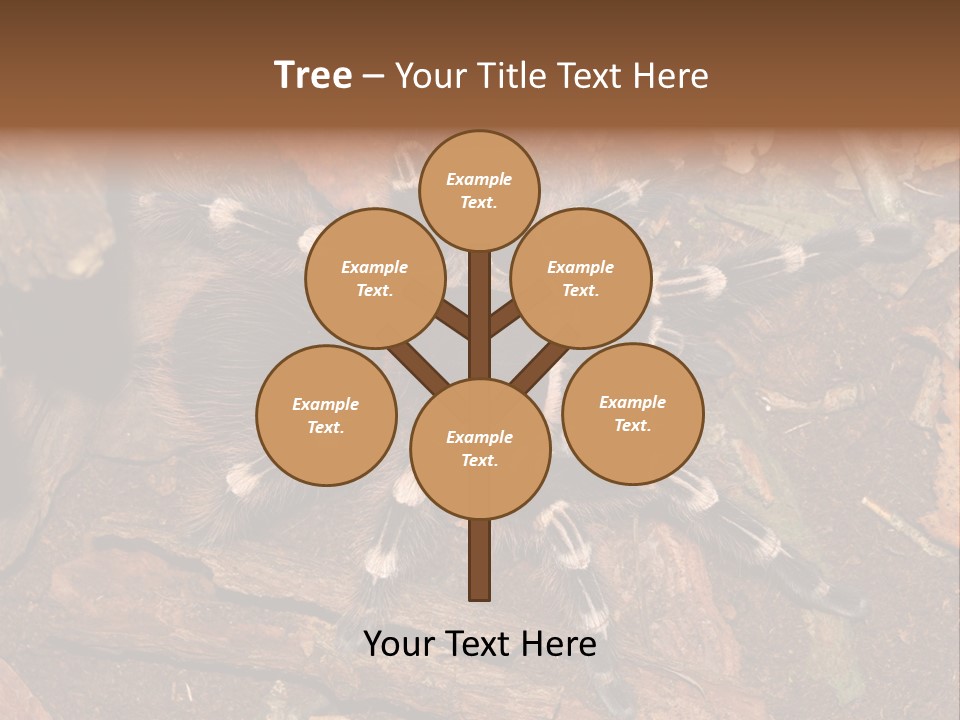 Pets Horror Closeup PowerPoint Template