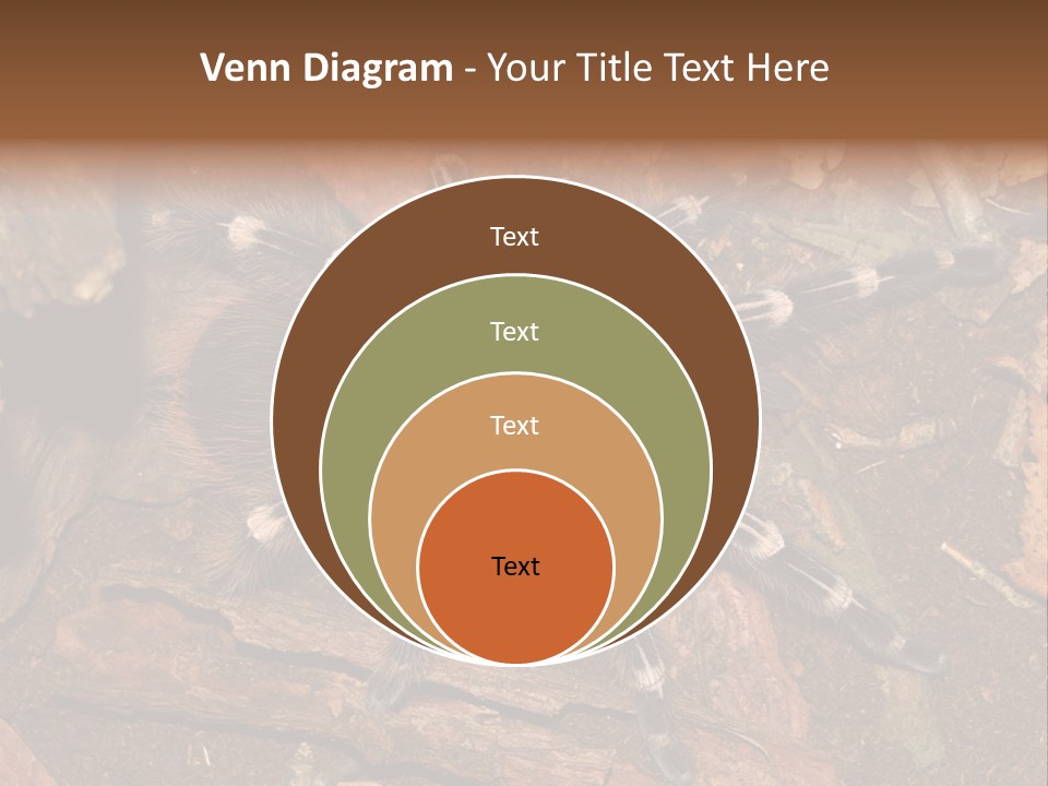 Pets Horror Closeup PowerPoint Template