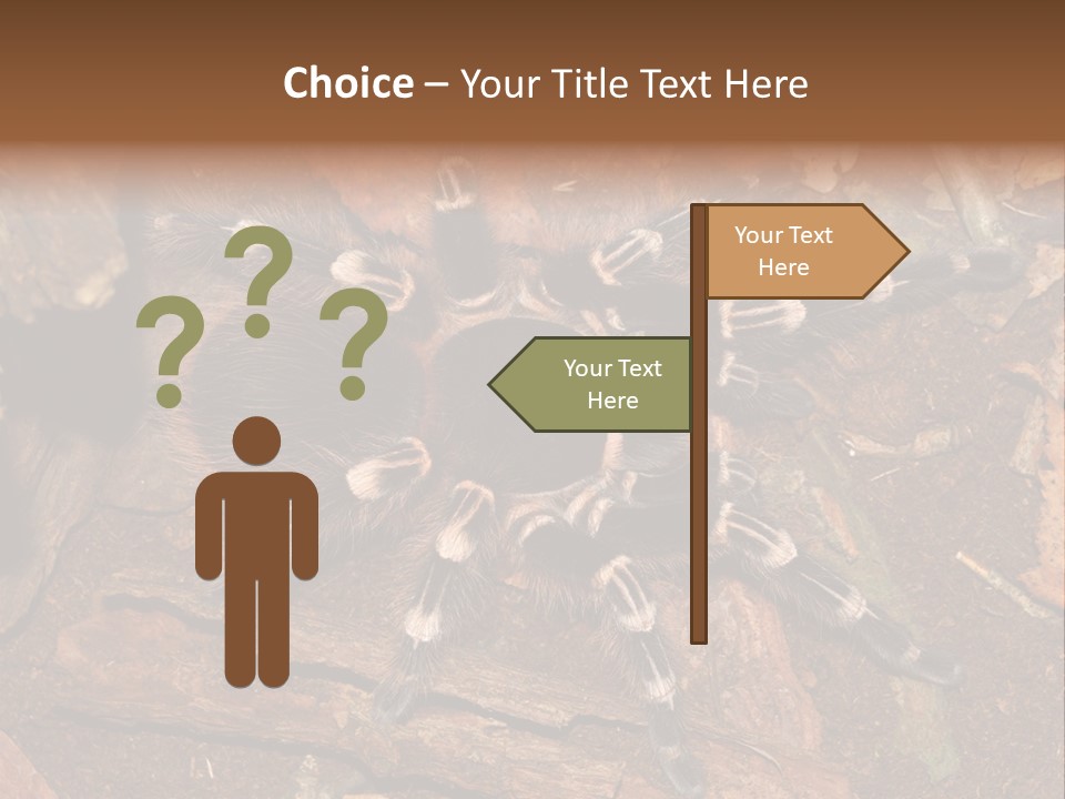 Pets Horror Closeup PowerPoint Template