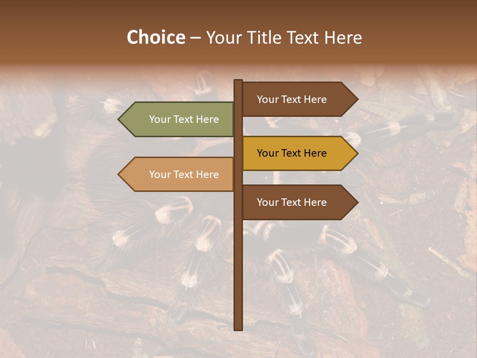 Pets Horror Closeup PowerPoint Template