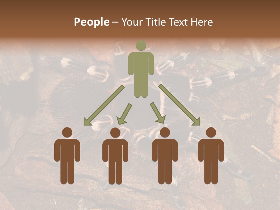 Pets Horror Closeup PowerPoint Template