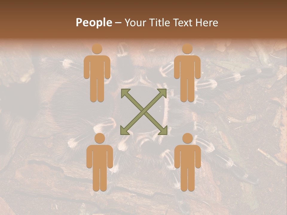 Pets Horror Closeup PowerPoint Template