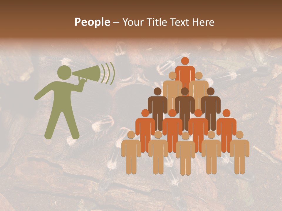 Pets Horror Closeup PowerPoint Template