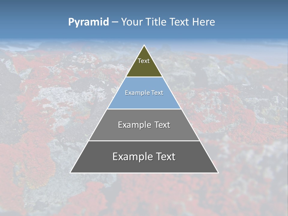 Travel Old Red PowerPoint Template