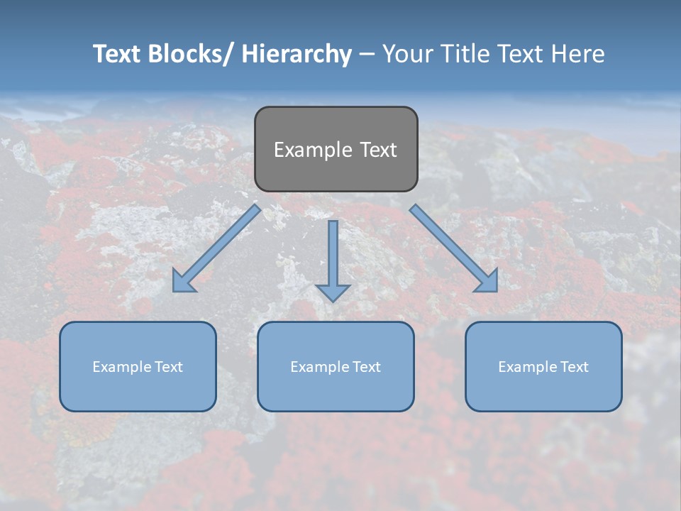 Travel Old Red PowerPoint Template